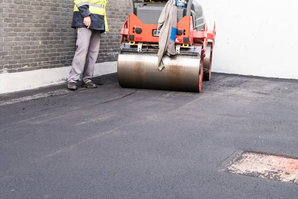 Best Driveway Grading and Leveling  in Amery, WI